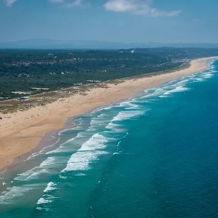 Only 10 Min From Lisbon Centre, 15 Min Driving From The Beaches! *